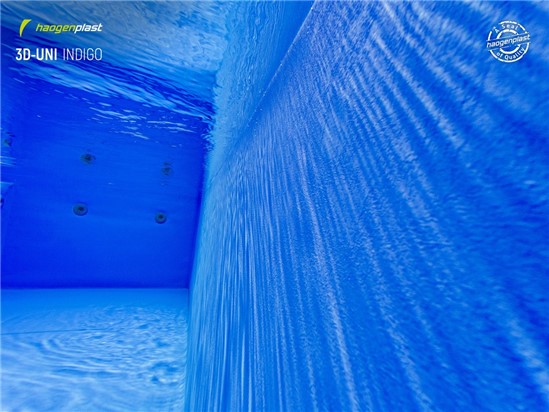 Indigo 3D